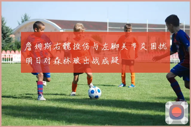 詹姆斯右髋挫伤与左脚关节炎困扰明日对森林狼出战成疑